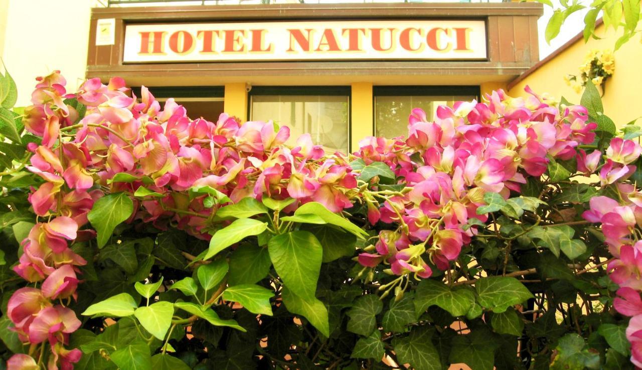 Albergo Natucci Μοντεκατίνι Τέρμε Εξωτερικό φωτογραφία